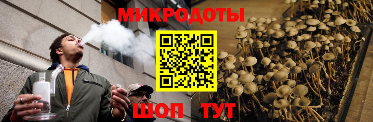 купить наркотик  Псилоцибиновые грибы Magic Shrooms  Вход с VPN  Псилоцибиновые грибы мицелий  Новодвинск 