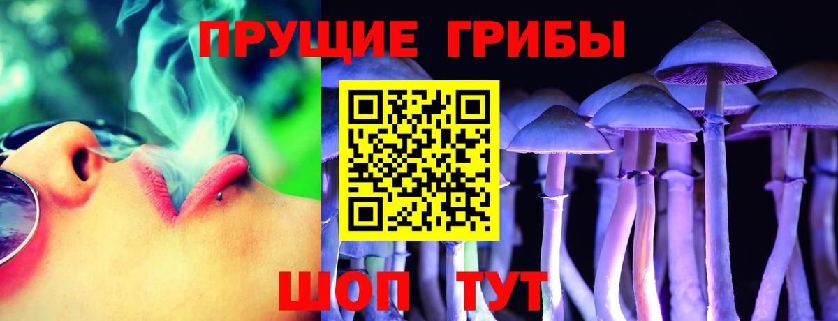 Галлюциногенные грибы Magic Shrooms Новодвинск